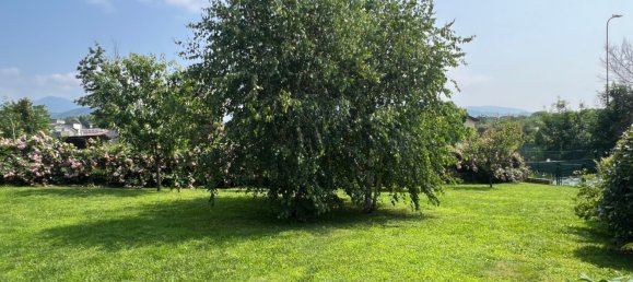 3 bedrooms Villa in Montano Lucino, Italy No. 362315 38