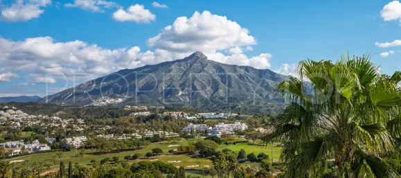 3 bedrooms Penthouse in Marbella, Spain No. 177787 54