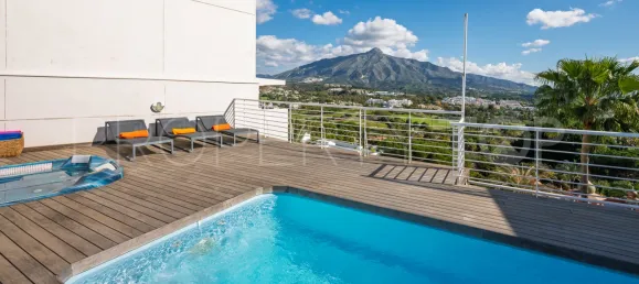 3 bedrooms Penthouse in Marbella, Spain No. 177787 43