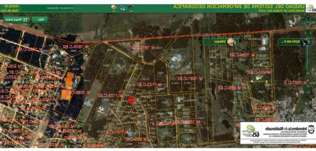  قطعة أرض في Maldonado, Uruguay رقم 15594