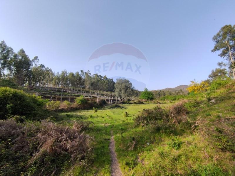 2837m² Land in Arcos de Valdevez, Portugal No. 287259