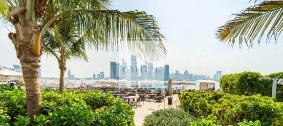 39.7m² Apartment in Palm Jumeirah, UAE No. 51281 12