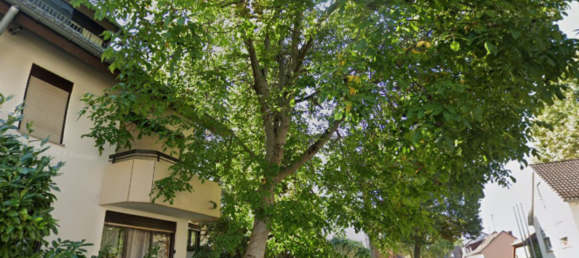 2غرفة شقة في Heidelberg, Germany رقم 294522 2