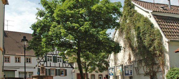 2غرفة شقة في Heidelberg, Germany رقم 294522 4