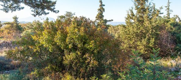 4 bedrooms Villa in Crete, Greece No. 1622 11