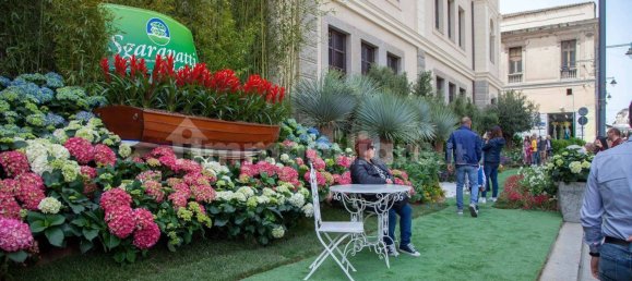 1 chambre Penthouse à Olbia, Italy No. 264282 18