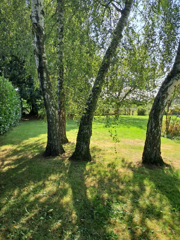 4 bedrooms House in Ferolles-Attilly, France No. 179347