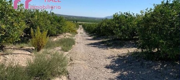 Terrain à Abanilla, Spain 18447m² No. 116813 8