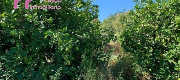 Terrain à Abanilla, Spain 18447m² No. 116813 13