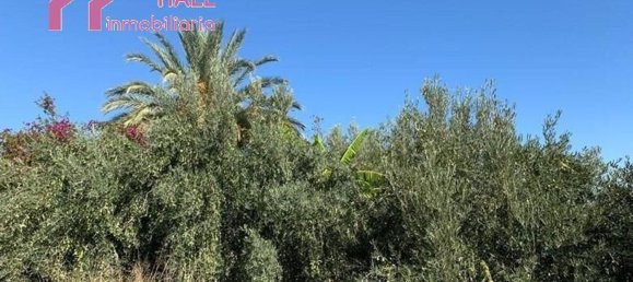 Terrain à Abanilla, Spain 18447m² No. 116813 9