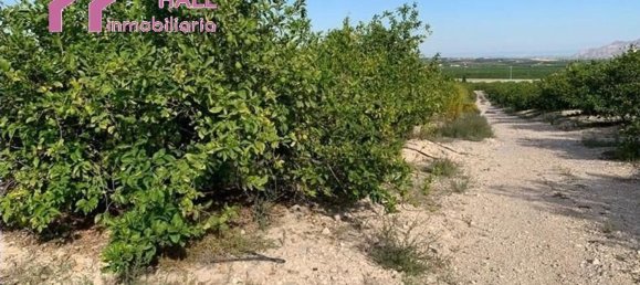 Terrain à Abanilla, Spain 18447m² No. 116813 17