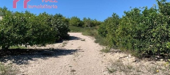 Terrain à Abanilla, Spain 18447m² No. 116813 3