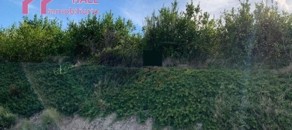 Terrain à Abanilla, Spain 18447m² No. 116813 7