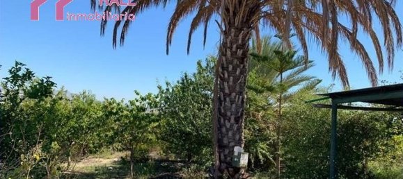 Terrain à Abanilla, Spain 18447m² No. 116813 5