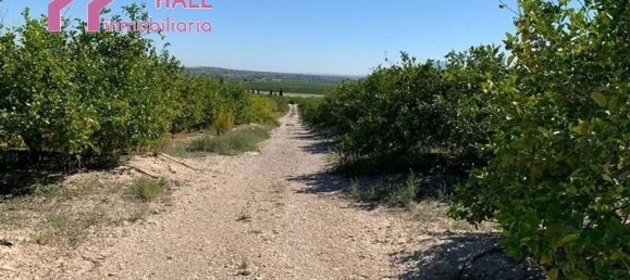 Terrain à Abanilla, Spain 18447m² No. 116813 15