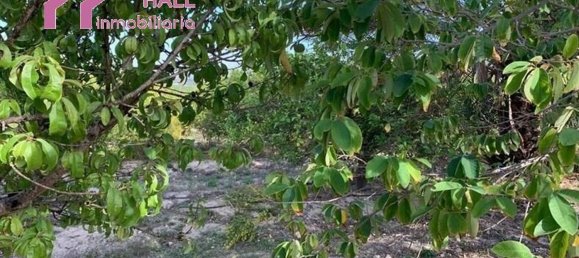 Terrain à Abanilla, Spain 18447m² No. 116813 14