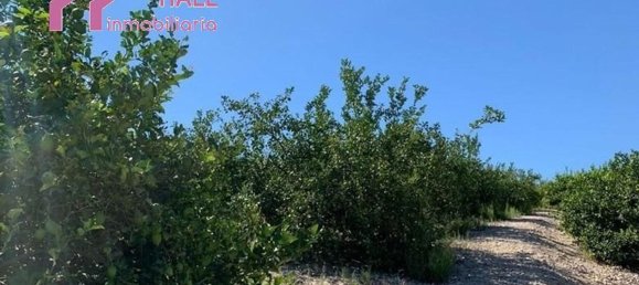 Terrain à Abanilla, Spain 18447m² No. 116813 11