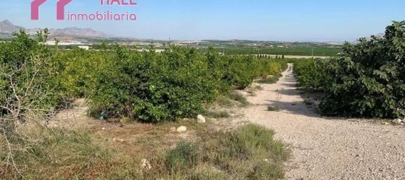 Terrain à Abanilla, Spain 18447m² No. 116813 20