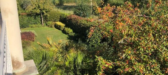 10 rooms Villa in Forte dei Marmi, Italy No. 124567 43