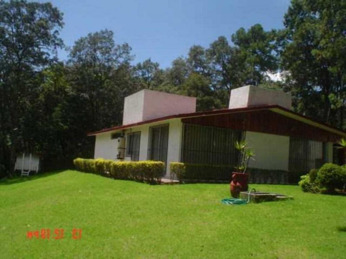 5 bedrooms House in Mexico No. 219189