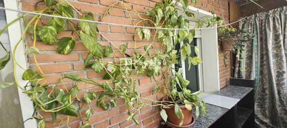 3 Schlafzimmer Wohnung in Alcala de Henares, Spain, Nr. 168342 2