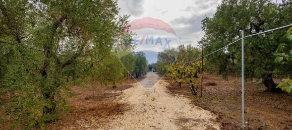 3-salle Maison à Bitetto, Italy No. 90265 8