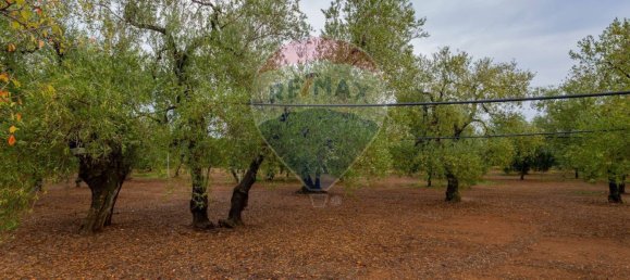 3-salle Maison à Bitetto, Italy No. 90265 6