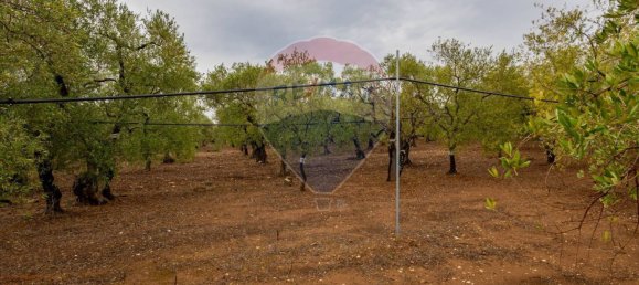 3-salle Maison à Bitetto, Italy No. 90265 3