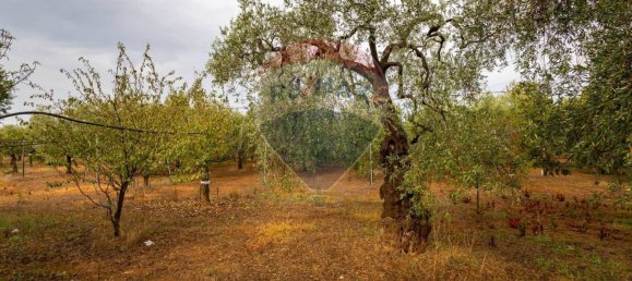 3-salle Maison à Bitetto, Italy No. 90265 9