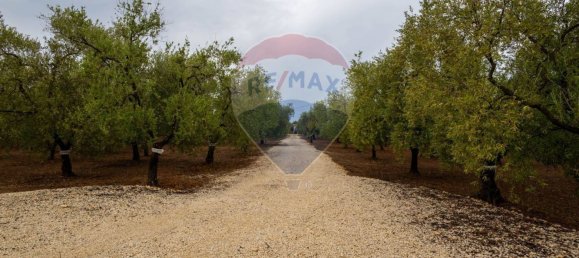 3-salle Maison à Bitetto, Italy No. 90265 11