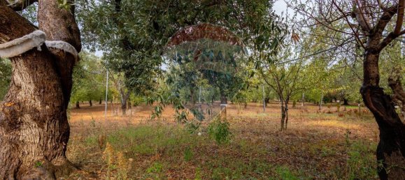 3-salle Maison à Bitetto, Italy No. 90265 10