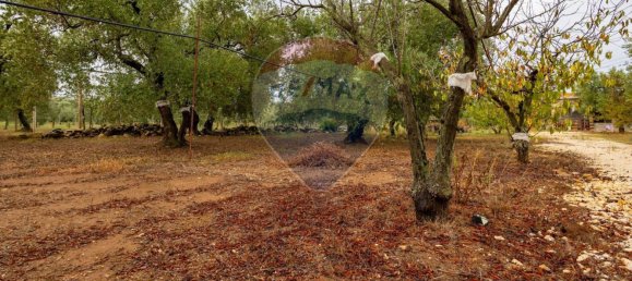 3-salle Maison à Bitetto, Italy No. 90265 7