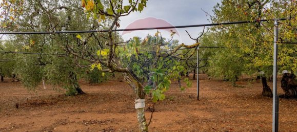 3-salle Maison à Bitetto, Italy No. 90265 5