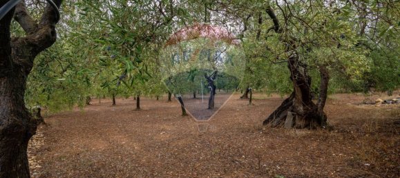 3-salle Maison à Bitetto, Italy No. 90265 4