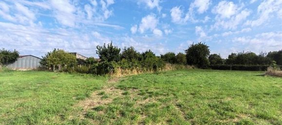 4 bedrooms House in Deneze-sous-Doue, France No. 314326 7