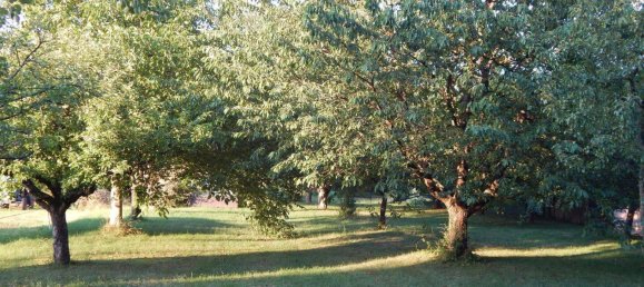 Land in Goppingen, Germany No. 236292 4