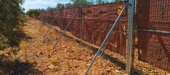 Terreno en Valdepenas, Spain 10023 m² No. 183067 8