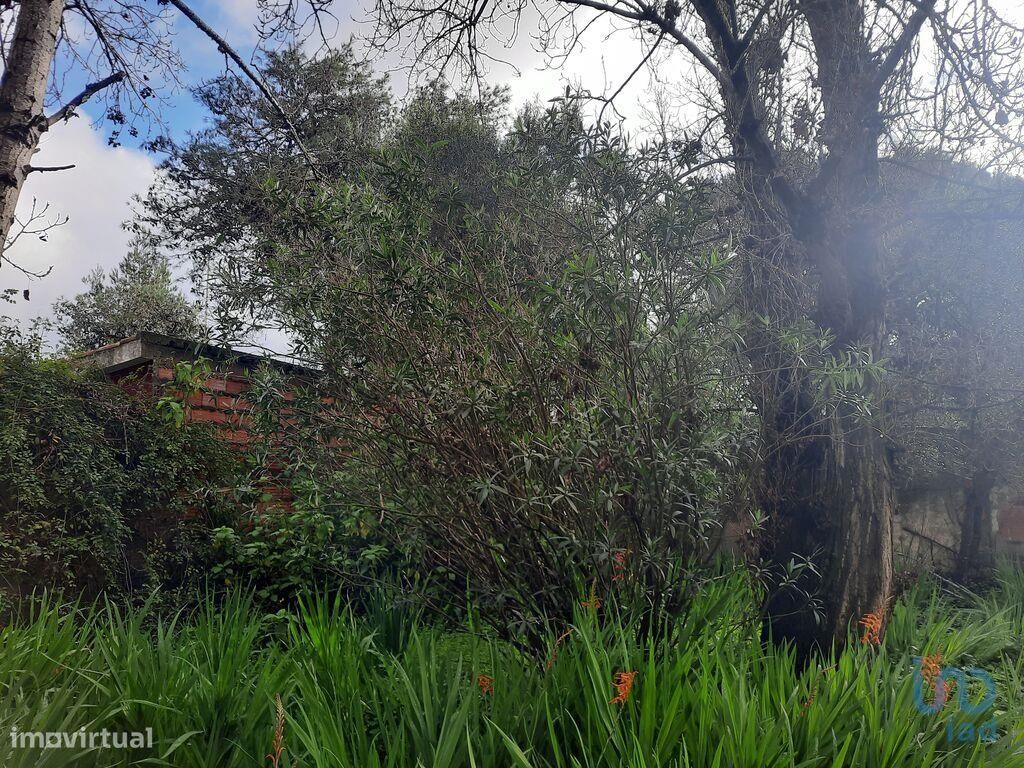 6 Schlafzimmer Villa in Cascais, Portugal, Nr. 131891