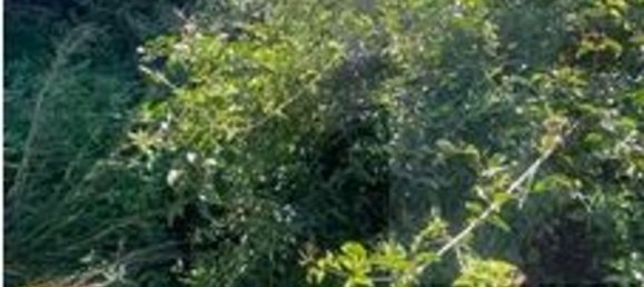 5 rooms Villa in Imperia, Italy No. 36585 7