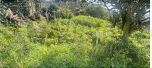 5 rooms Villa in Imperia, Italy No. 36585 22