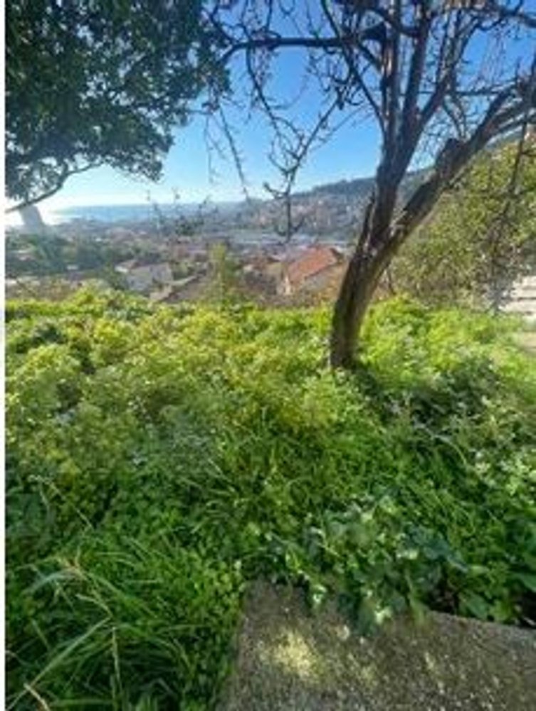 5 rooms Villa in Imperia, Italy No. 36585