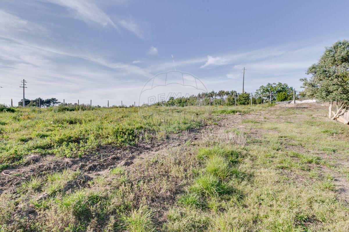 2 Schlafzimmer Haus in Torres Vedras, Portugal, Nr. 48121