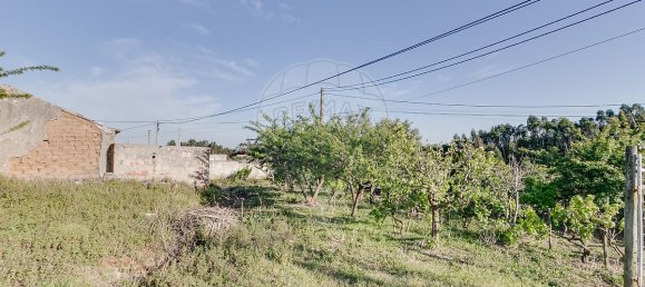 2 Schlafzimmer Haus in Torres Vedras, Portugal, Nr. 48121 2