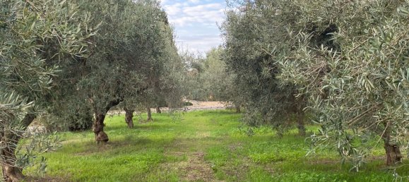 9-salle Maison à Modica, Italy No. 255944 8