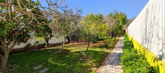 Casa T2 em Torres Novas, Portugal N.º 17539 19