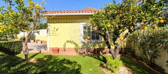 Casa T2 em Torres Novas, Portugal N.º 17539 39