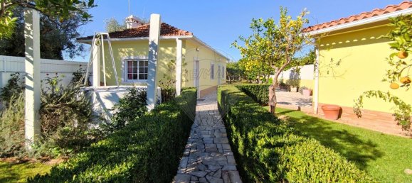 Casa T2 em Torres Novas, Portugal N.º 17539 44