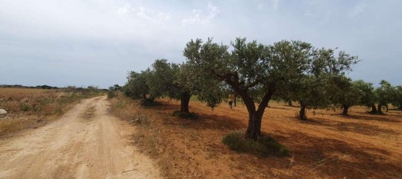 Terreno de 1 habitación en Mazara del Vallo, Italy No. 164407 3