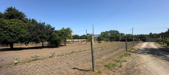 Casa de 3 dormitorios en Viana do Castelo, Portugal No. 70197 24