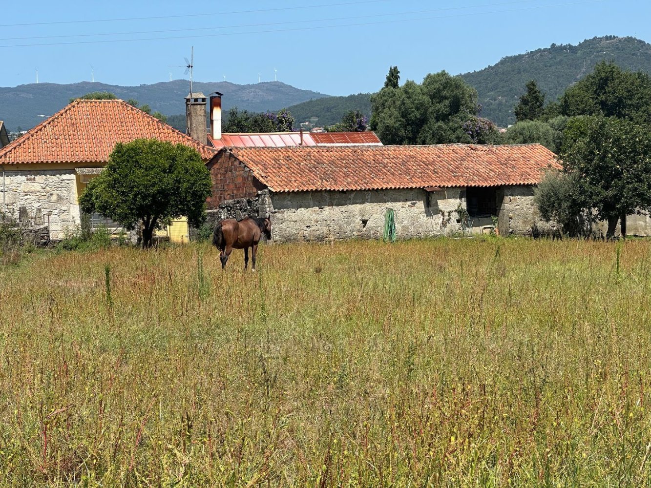 Casa de 3 dormitorios en Viana do Castelo, Portugal No. 70197